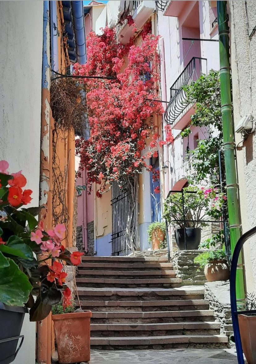 Studio Collioure Mouret Exterior photo